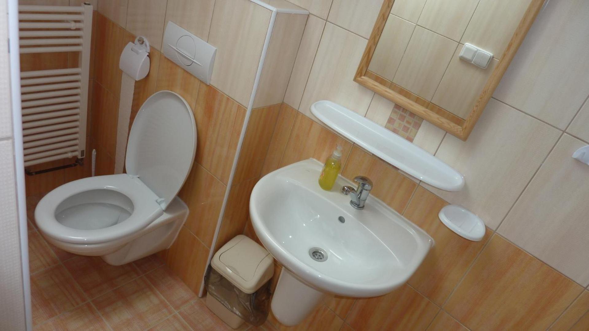 Penzion Slavka Tremosnice Luaran gambar